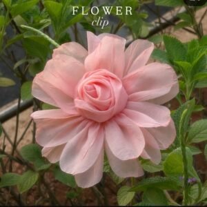 Big Flower Clip