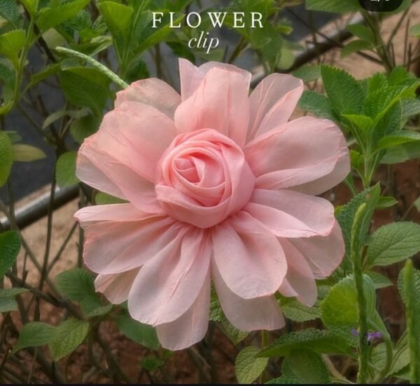 Big Flower Clip